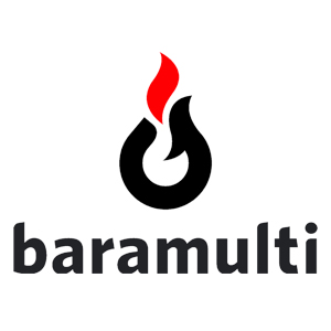 Baramulti Marine Group logo