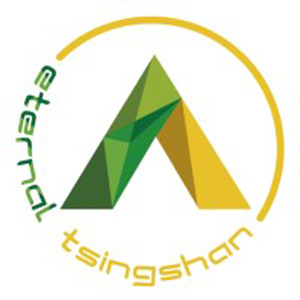 Eternal Tsingshan Indonesia Group logo