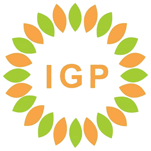 PT IGP Internasional logo