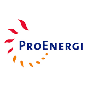 PT Pro Energi logo